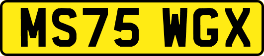 MS75WGX