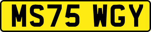 MS75WGY