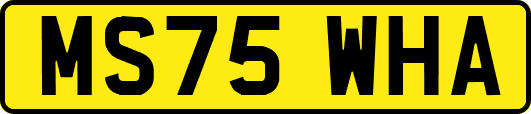 MS75WHA