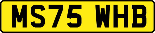 MS75WHB