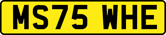 MS75WHE