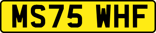 MS75WHF