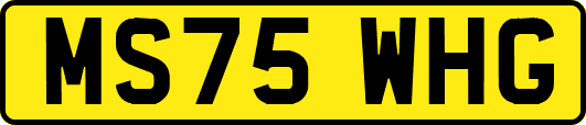 MS75WHG