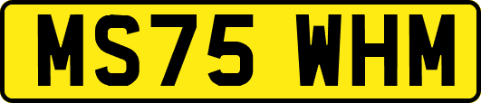 MS75WHM