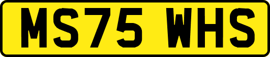 MS75WHS