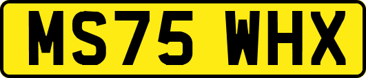 MS75WHX