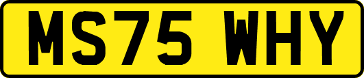 MS75WHY