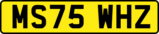 MS75WHZ