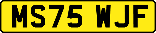 MS75WJF