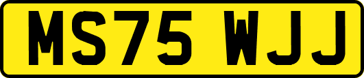 MS75WJJ
