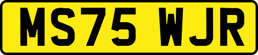 MS75WJR