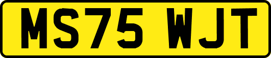 MS75WJT