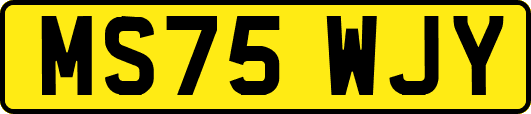 MS75WJY
