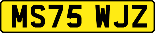MS75WJZ