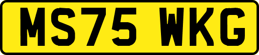 MS75WKG