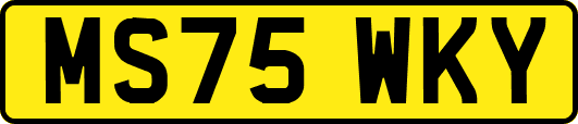 MS75WKY