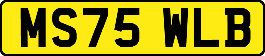MS75WLB