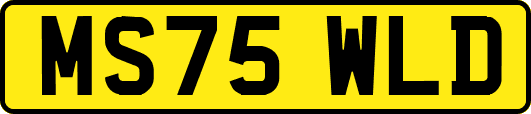 MS75WLD