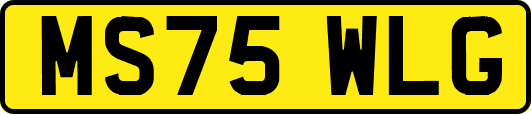 MS75WLG