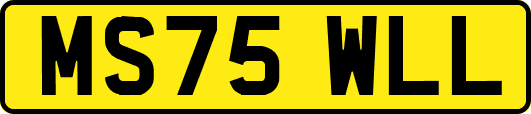 MS75WLL