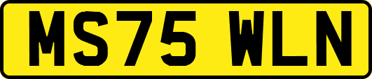 MS75WLN