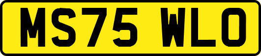 MS75WLO