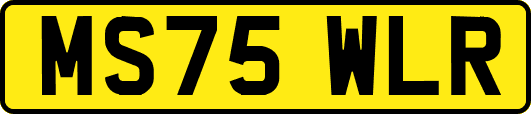 MS75WLR