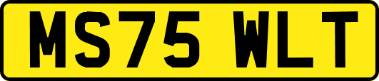 MS75WLT