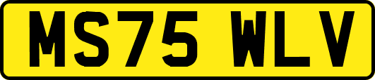 MS75WLV