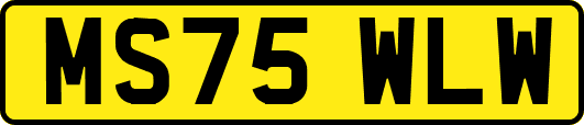 MS75WLW