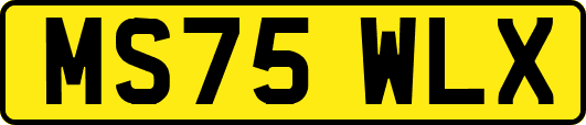 MS75WLX