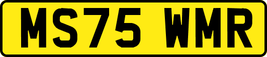 MS75WMR