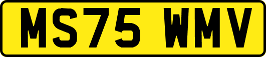 MS75WMV