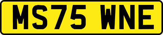 MS75WNE