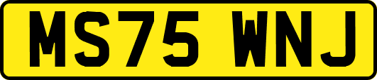 MS75WNJ