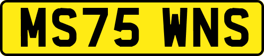 MS75WNS