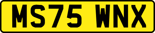 MS75WNX