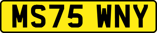 MS75WNY