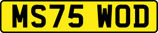 MS75WOD