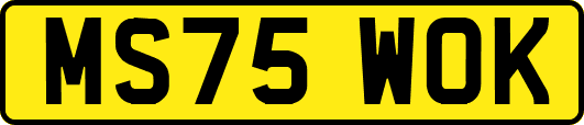 MS75WOK