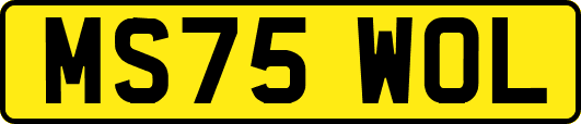 MS75WOL