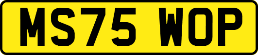 MS75WOP