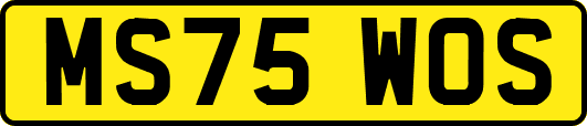 MS75WOS