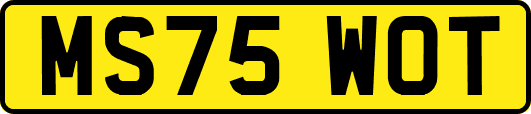 MS75WOT