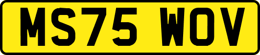 MS75WOV
