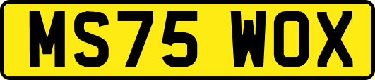 MS75WOX