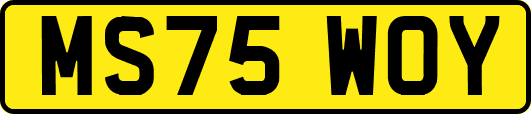 MS75WOY