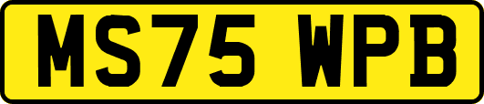 MS75WPB