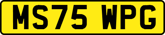 MS75WPG
