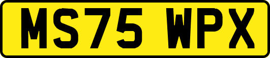 MS75WPX